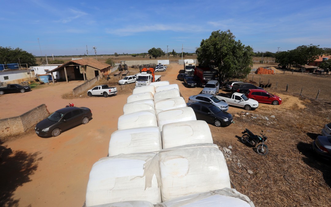 Alimentação para o gado chega em 64 toneladas de ração.