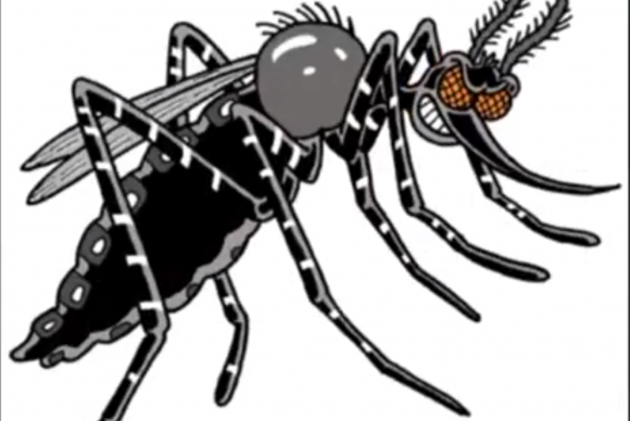 Saiba o que é boato e o que é verdade sobre o vírus Zika