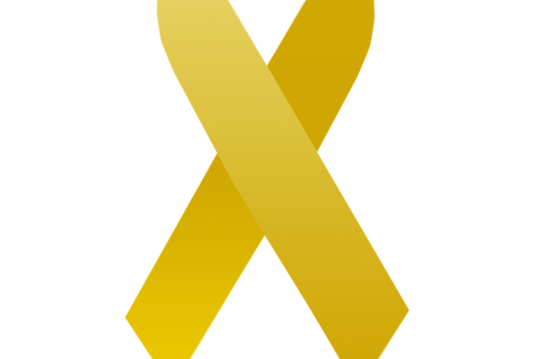 SJB adere ao movimento Maio Amarelo