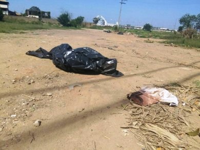 Jovens encontrados mortos à margem da BR 356
