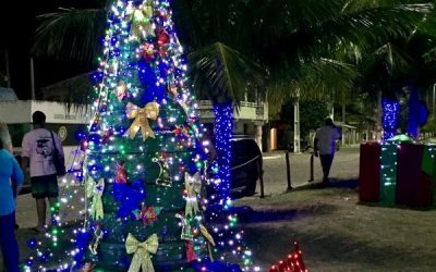 Distritos de SJB ganham árvores de Natal confeccionadas com pneus