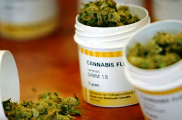 Diálogo Brasil discute uso terapêutico de substâncias derivadas da maconha