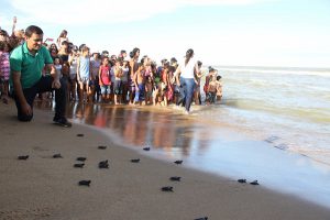 4707_200117222951_img_1780