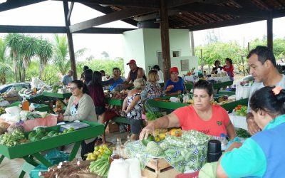 Feira do Produtor de SJB movimenta economia local