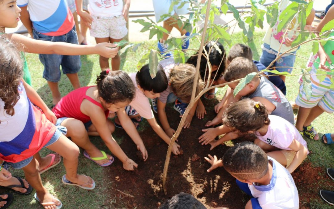 Secretarias de Meio Ambiente e Educação lançam Projeto Municipal de Arborização em SJB