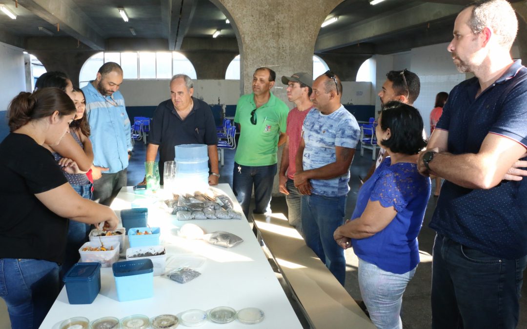 Prefeitura de SJB e Porto do Açu realizam oficina de compostagem