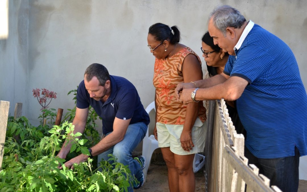 Distribuição de sementes no Projeto Semear e Colher em SJB