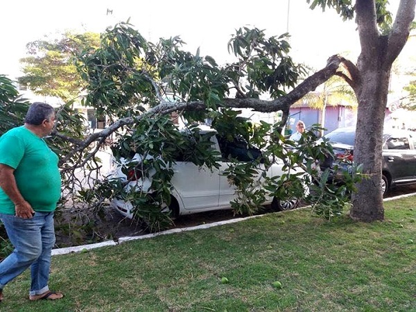Vendaval derruba galho de árvore sobre carro no Centro de SJB