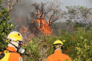 Foto: Fabio Rodrigues Pozzebom/Agência Brasil