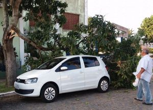 Foto: Leitor Henry Teixeira - Parahybano
