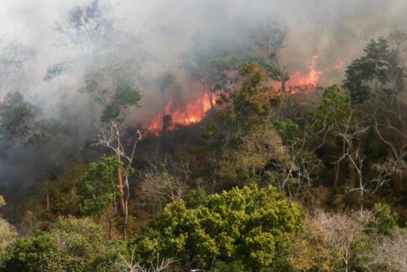 Tempo seco de setembro facilita incêndios; ação humana é a principal causa