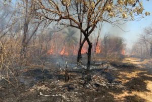 Foto: Divulgação/Corpo de Bombeiros de Minas Gerias
