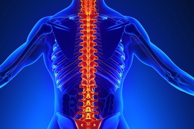 Osteoporose atinge 10 milhões de pessoas no Brasil