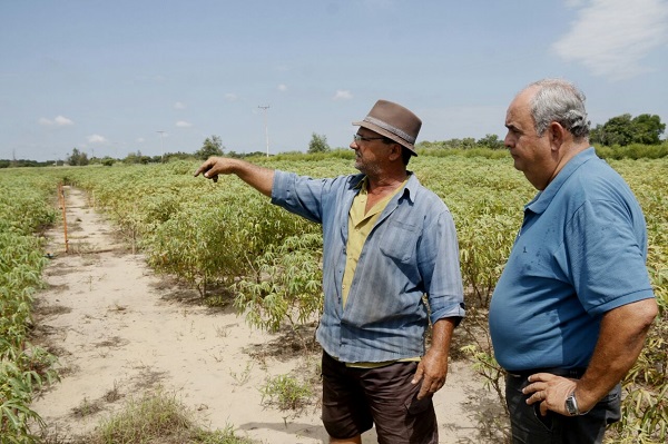 Agricultura de SJB intensificará acompanhamento no campo