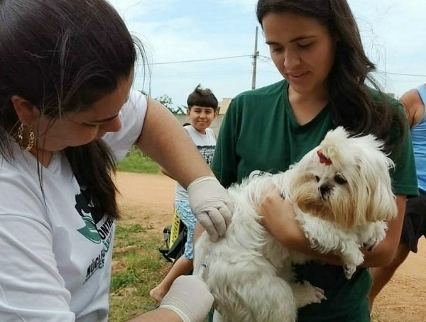 Dia D de vacinação Antirrábica acontecerá neste sábado – Confira locais