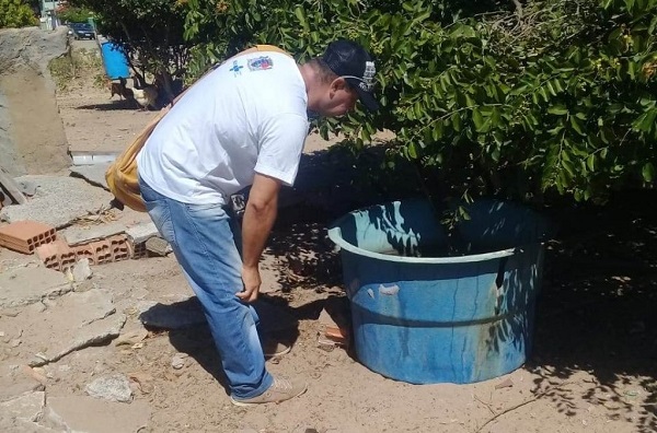 Vigilância contra o Aedes aegypti em SJB