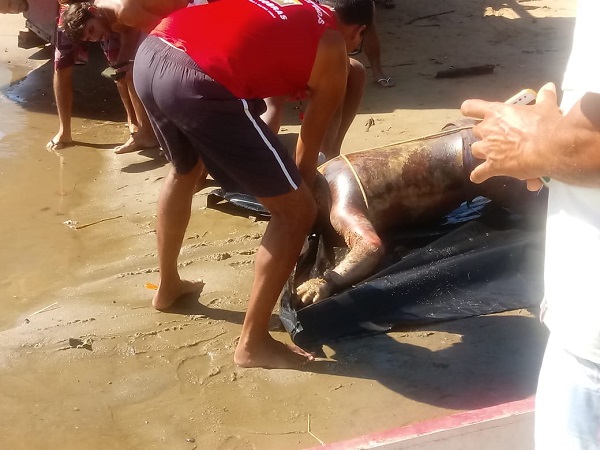 Corpo em estado avançado de decomposição é encontrado no rio Paraíba do Sul, em Atafona