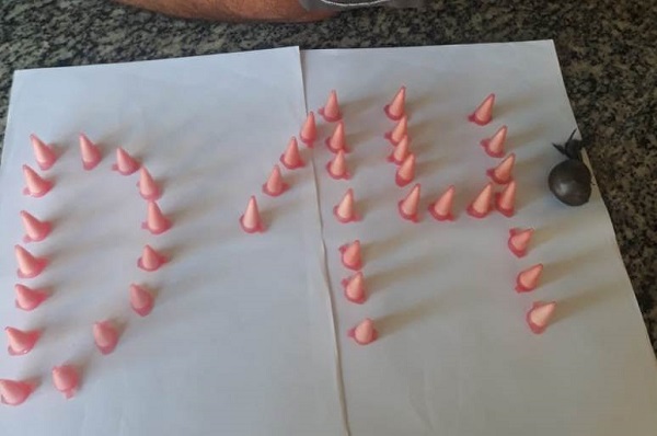 PM apreende cocaína em Atafona