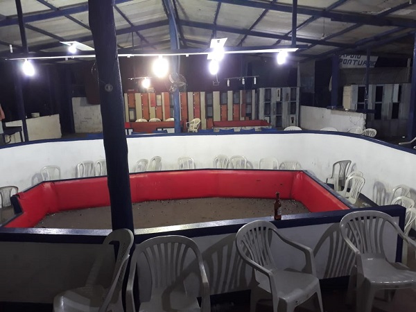 Dezessete detidos em rinha de galo em SJB