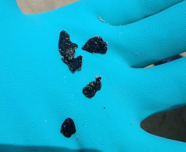 Prefeitura de SJB e Marinha do Brasil se reúnem para plano de ação para surgimentos de fragmentos de óleo em SJB