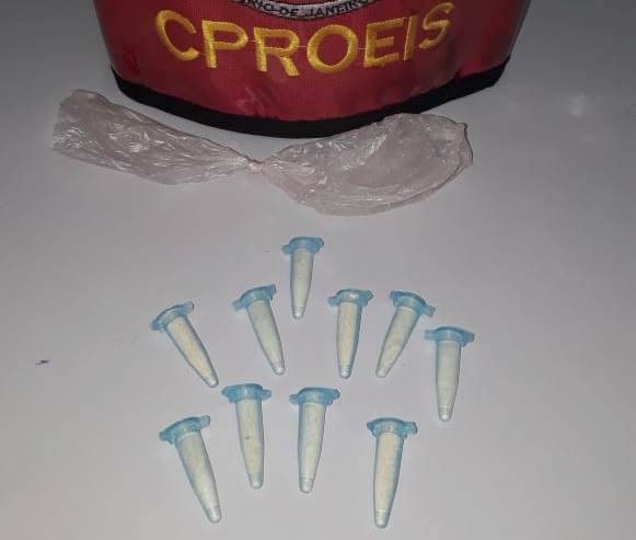 Proeis apreende droga em SJB