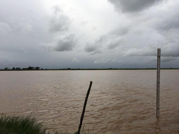 Chuva: Defesa Civil de SJB registra 30 ocorrências e monitora rio Paraíba do Sul
