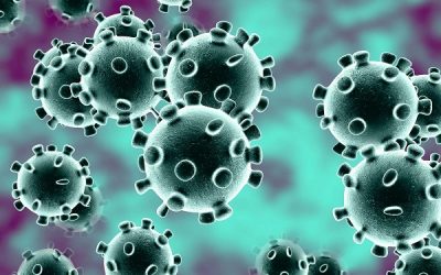 OMS eleva grau de risco de disseminação do coronavírus para muito alto
