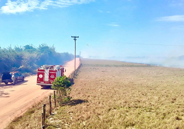 Bombeiros controlam incêndio em vegetação de grandes proporções em SJB