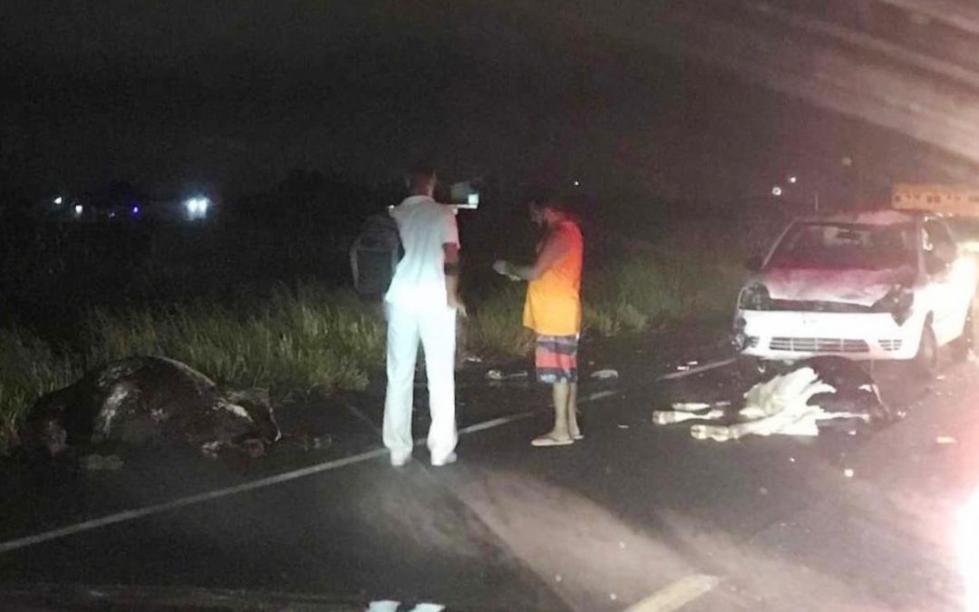 Animais soltos provocam acidente na BR 356, em SJB