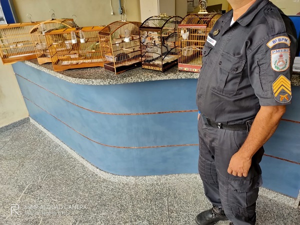 Homens detidos com animais silvestres furtados em SJB