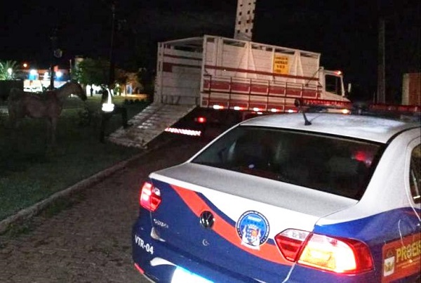 Patrulha da correição é implantada em SJB
