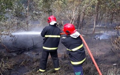 Incêndio em vegetação mobiliza bombeiros civis em SJB