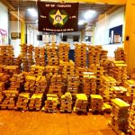 Polícia apreende duas toneladas de maconha no RJ