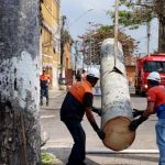Corte emergencial de palmeira acontecerá nesta terça em São João da Barra 10345_270821174541_IMG_20210827_WA0564