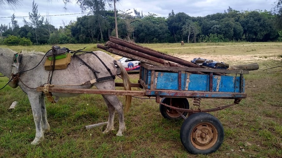 Homem preso furtando mourões do Balneário de Atafona