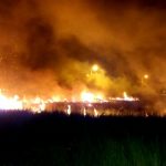 Incêndio em vegetação mobiliza Corpo de Bombeiros em SJB