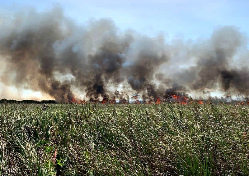 Bombeiros controlam incêndio na lagoa do Veiga no Açu