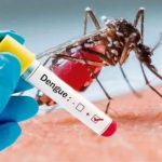 Casos de dengue em todo o país aumentam 95% em relação a 2021