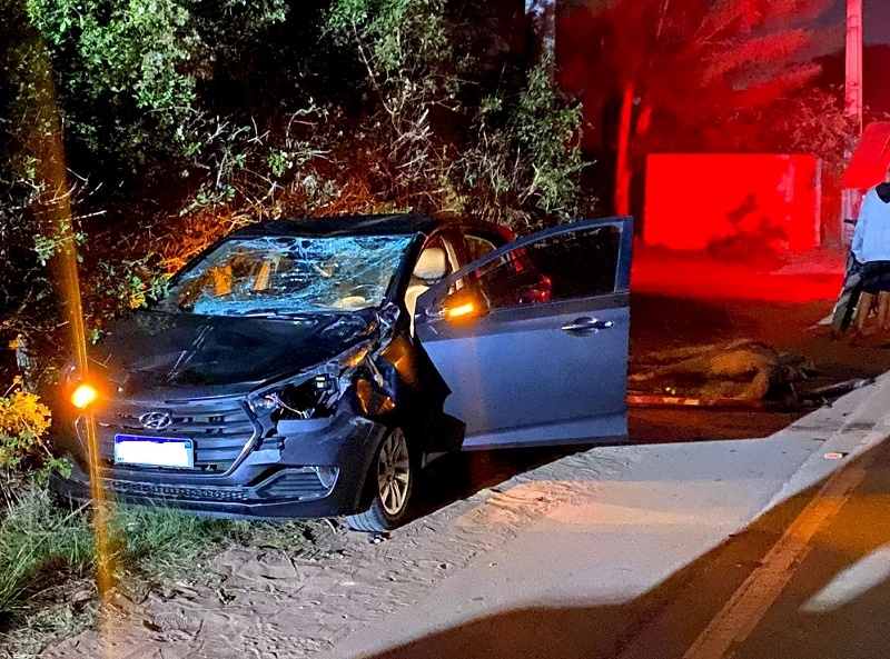 Vídeo – Acidente na BR 356 deixa mulher ferida em SJB