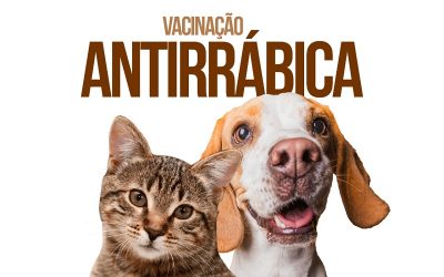 SJB: NCZ inicia vacinação de cães e gatos contra a raiva no sábado