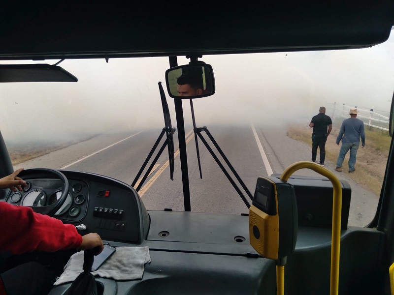 Vídeo – Incêndio em vegetação prejudica tráfego de veículos na BR 356 em SJB