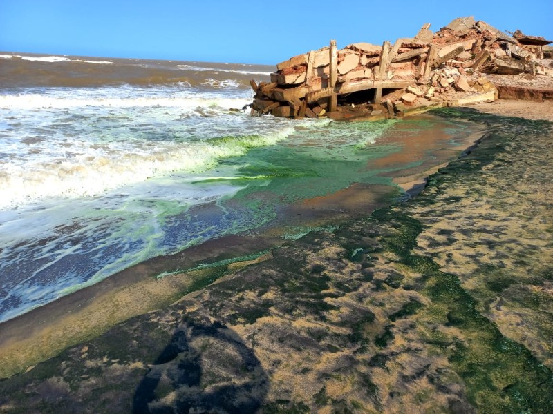 Vídeos – Mancha escura na praia de Atafona assusta banhistas
