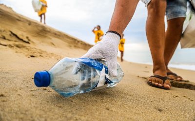 Ações de preservação ambiental acontecem neste sábado em SJB
