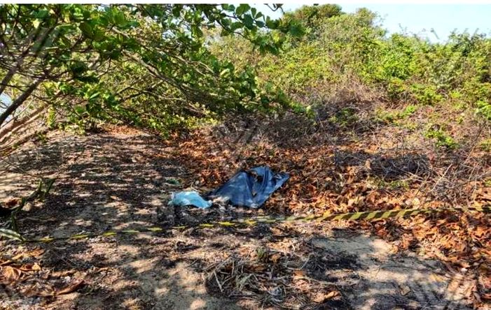 Homens são assassinados a tiros em SFI