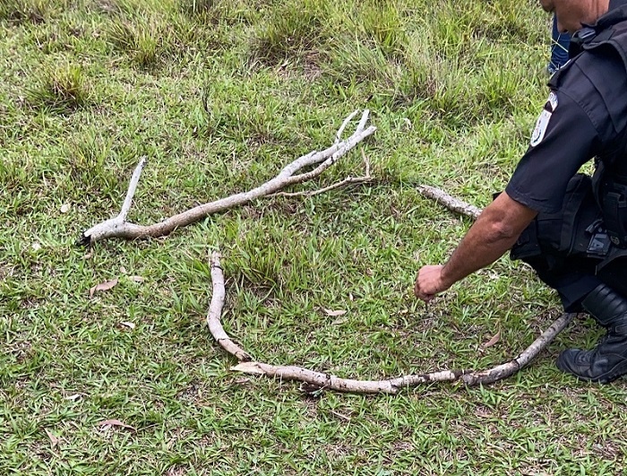 Homem desaparecido é encontrado morto em SFI