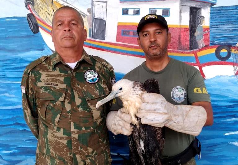 Vídeo – Fragata é resgatada pela Guarda Ambiental em praia de SJB