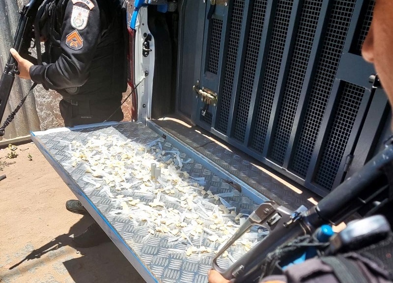 Vídeo – PM apreende droga e munições em SFI