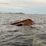 Vídeos - Bombeiros encontram corpos que podem ser de naufrágio no Rio