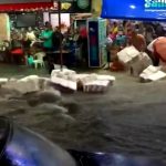 Vídeos - Chuvas deixam dois mortos e uma pessoa desaparecida no Rio