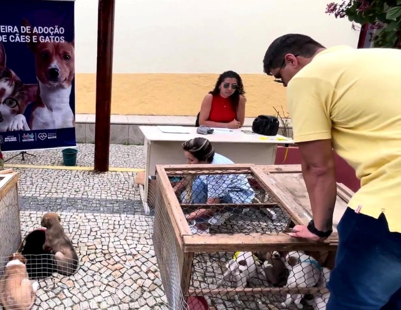 NCZ promove feira de adoção de animais nesta quinta em SJB